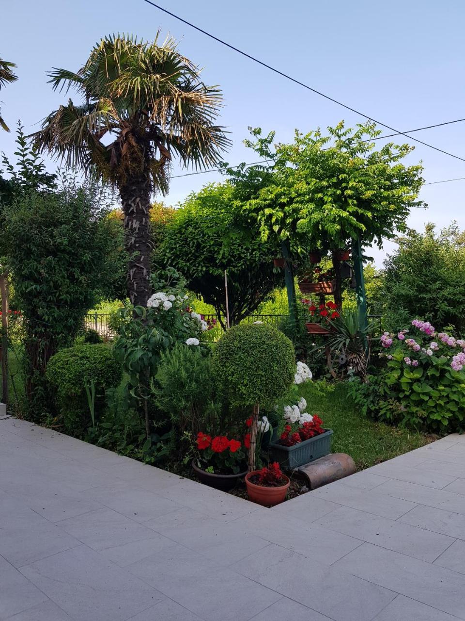 Villa Ivana 拉宾 外观 照片