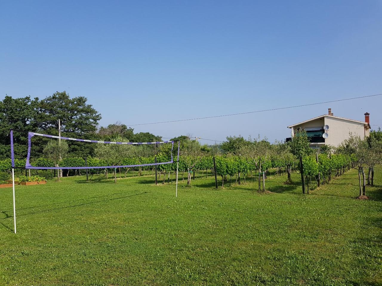 Villa Ivana 拉宾 外观 照片